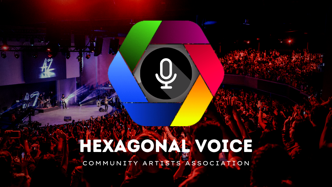 Hexagonal Voice - Rectangle Logo (7)