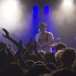 The Superfan Economy in 2026: What It Means for Independent Artists