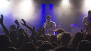 The Superfan Economy in 2026: What It Means for Independent Artists