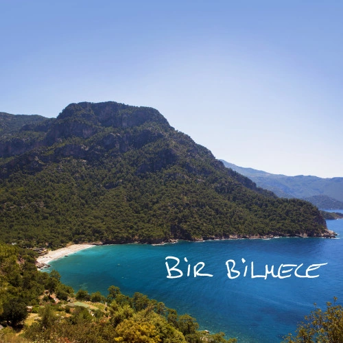 Kirpi — Bir Bilmece