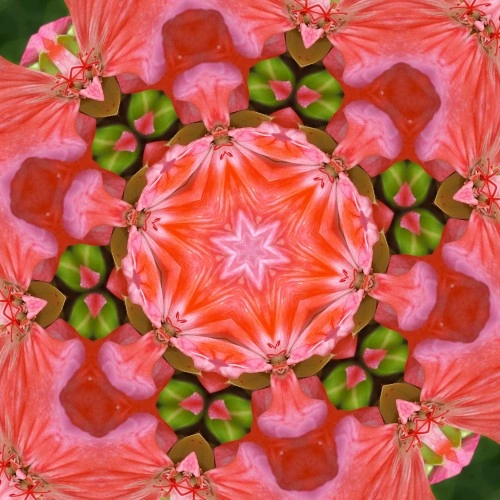 Tera Mangala Meditation Music — Nurture Your Soul Shows How Tera Mangala Meditation Music Builds Drone for Deep 