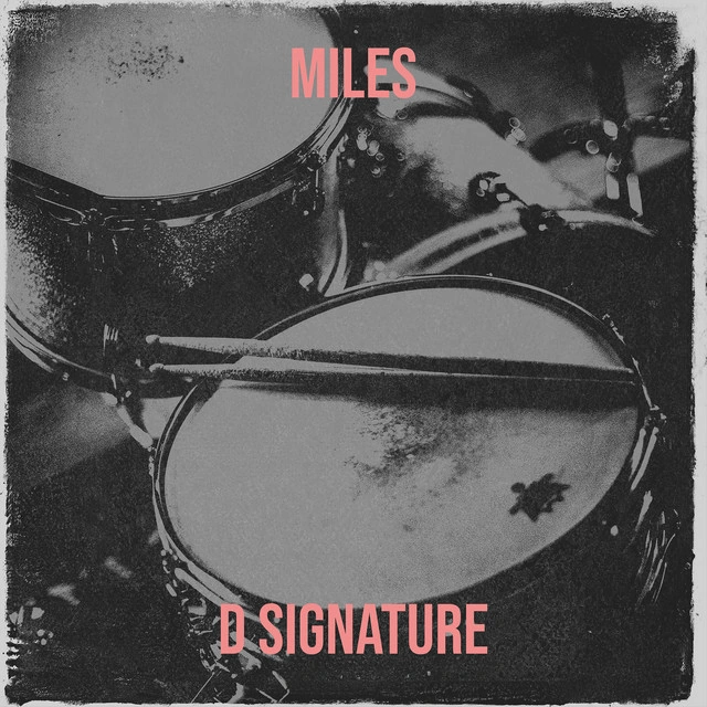 D Signature — D Signature Miles Is A 23 Track Dancehall And Reggae Album With Range