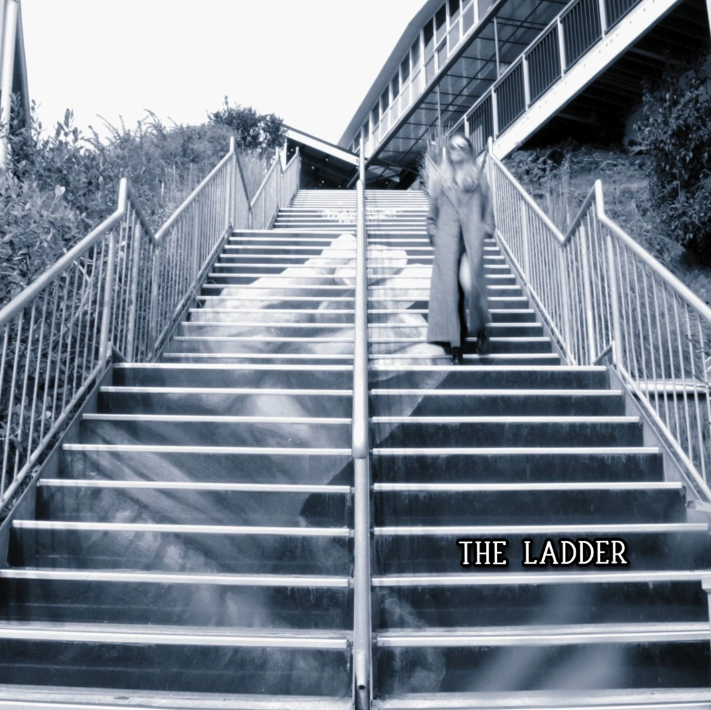 Captain Blistermint — The Ladder