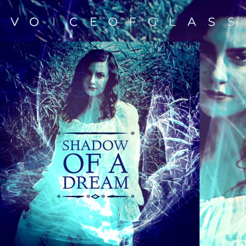Voice Of Glass — The Phoenix