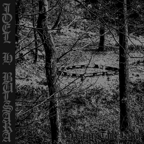 Joel H Bulsara — hastur the king