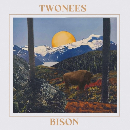 Twonees — Bison