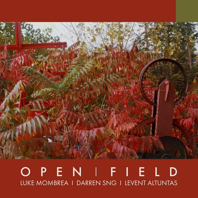 Luke Mombrea, Darren Sng, Levent Altuntas — Open Field