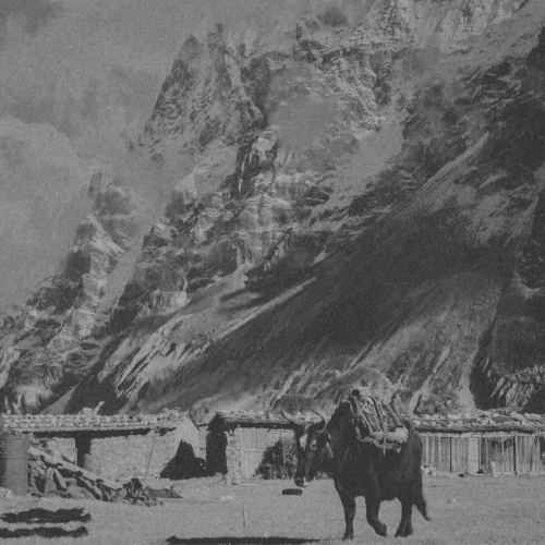 Idle Moon — Nomad