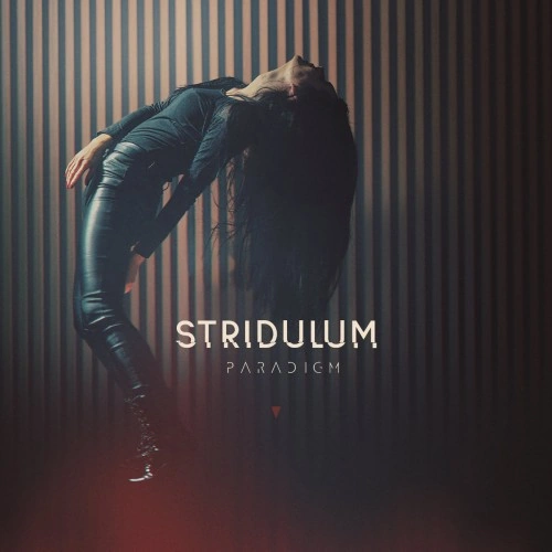 STRIDULUM — Paradigm